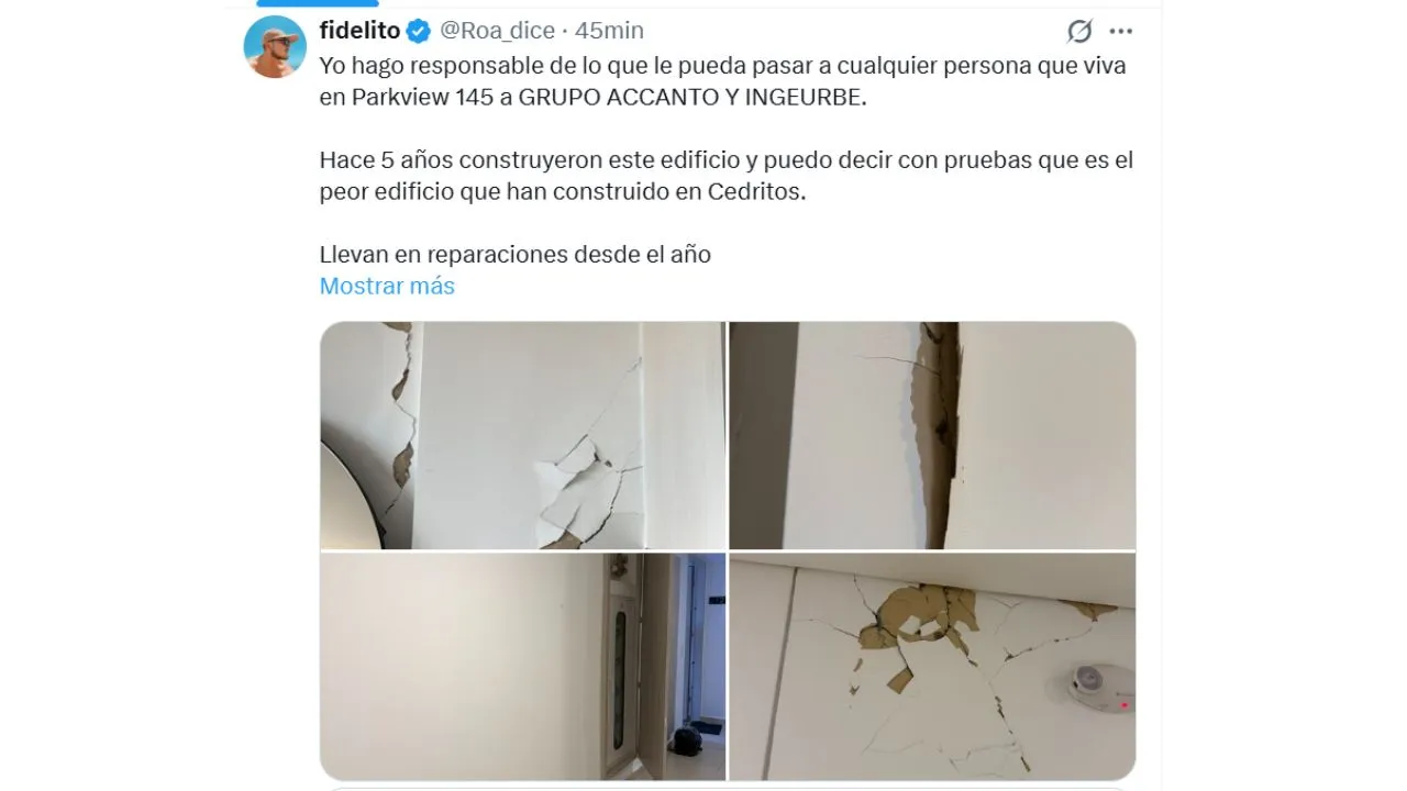 imagen dada